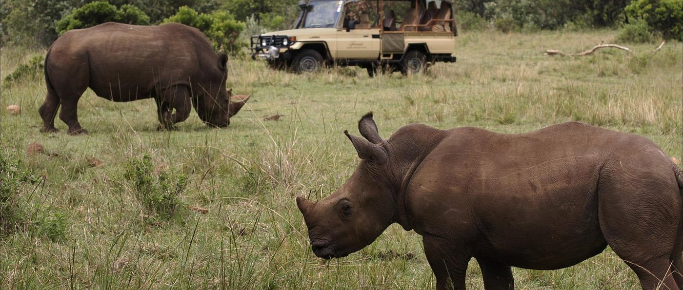 Fairmont Mara Safari Club gallery 4